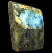 Lot: Lbs Free-Standing Polished Labradorite - Pieces #78027-1